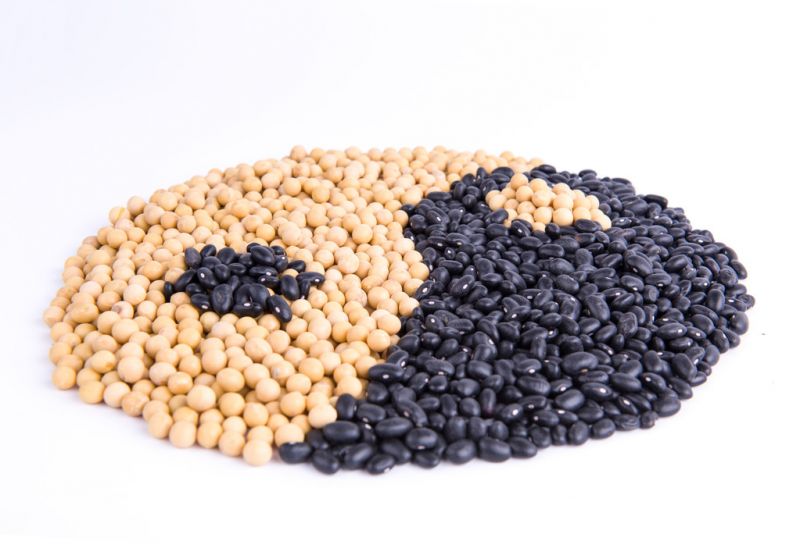兰州白癜风医院介绍豆制品对于白癜风患者有什么帮助呢？