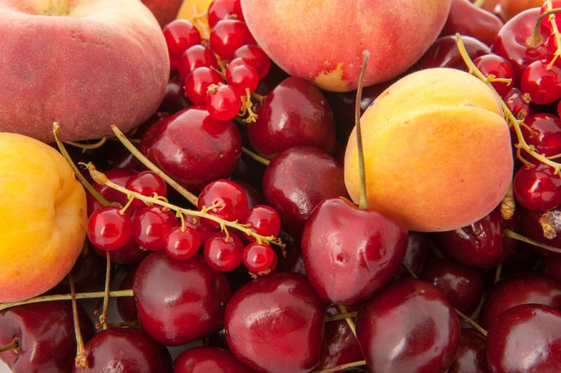 兰州专业的白癜风医院介绍白癜风患者可以吃樱桃吗？